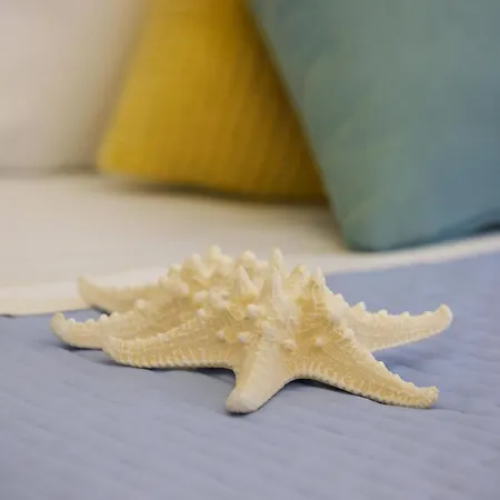 Ξενοδοχείο Elisabetta